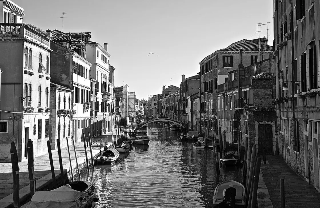 Canale fiancheggiato da palazzi con barche ormeggiate e un ponte in lontananza, un gabbiano in volo, in bianco e nero