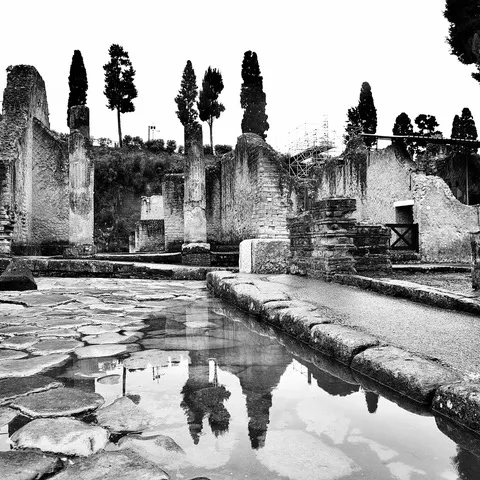 Basolato romano e resti di colonne tra i cipressi degli scavi, riflessi in una pozza d'acqua piovana, in bianco e nero
