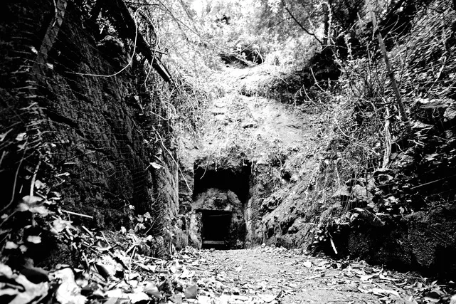 Sentiero coperto di foglie che conduce all'ingresso buio di una grotta tra rocce e vegetazione, in bianco e nero