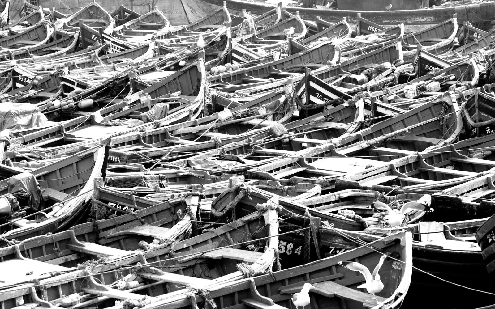 Numerose barche da pesca in legno stipate una accanto all’altra in un porto, in bianco e nero
