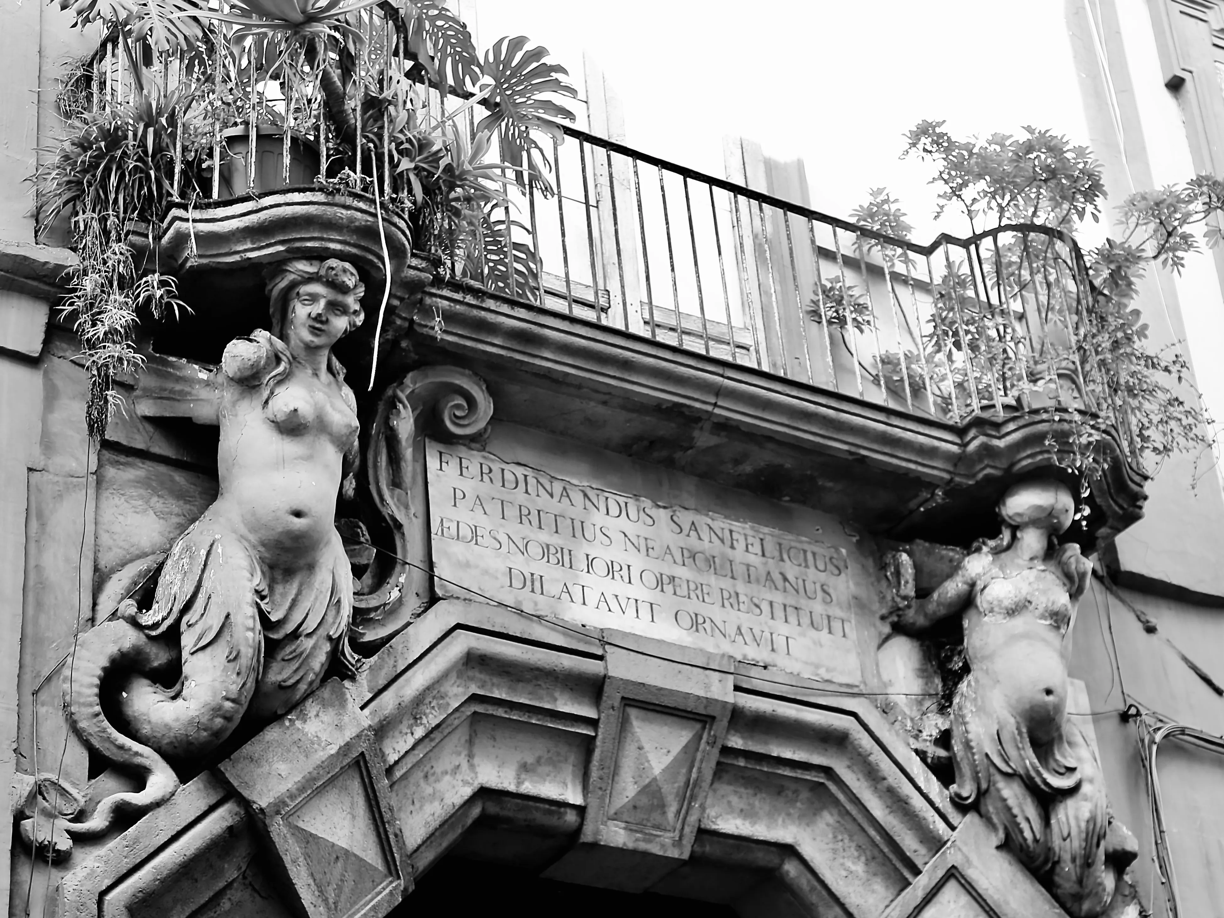Il portale di Palazzo Sanfelice con le due cariatidi a sirena e la lapide dedicatoria di Ferdinando Sanfelice, sotto un balcone fiorito, in bianco e nero