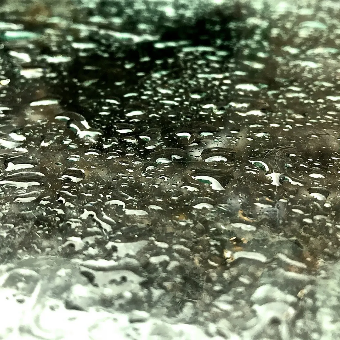 Gocce d'acqua e condensa su una superficie con riflessi verdi sullo sfondo, in primo piano