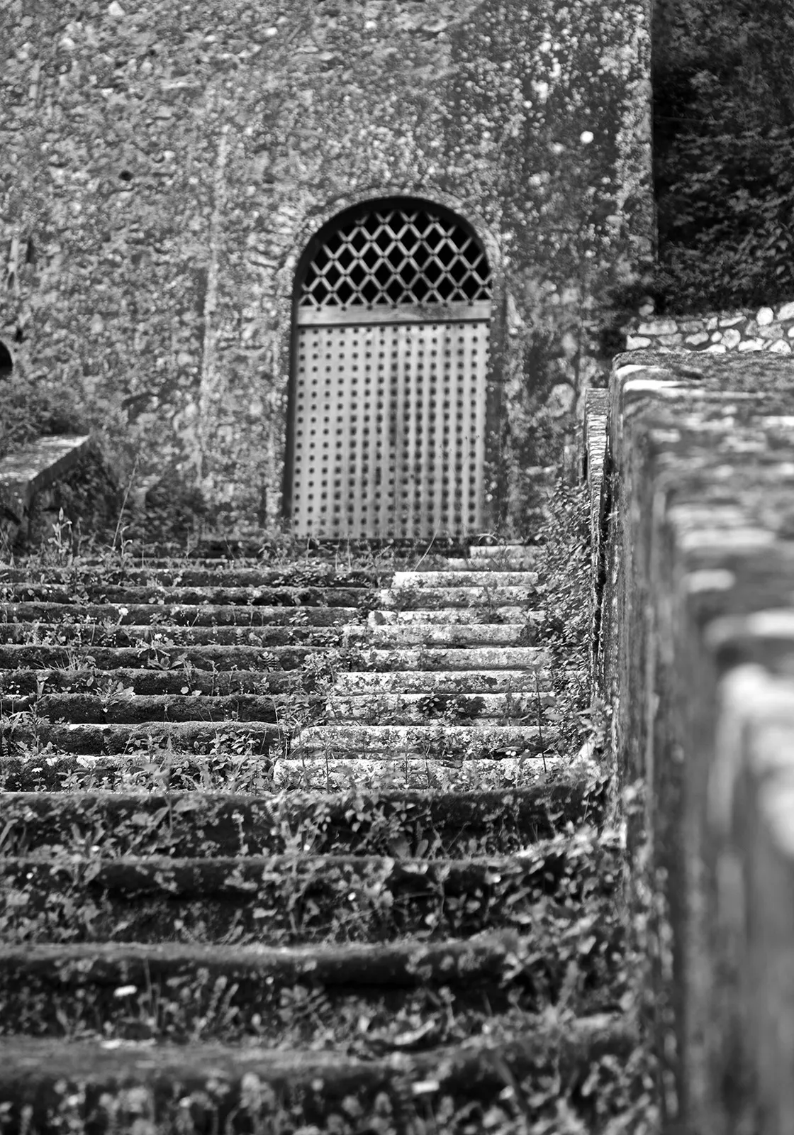 Una scalinata di pietra invasa dall'erba che sale verso una porta ad arco con grata a losanghe, in bianco e nero