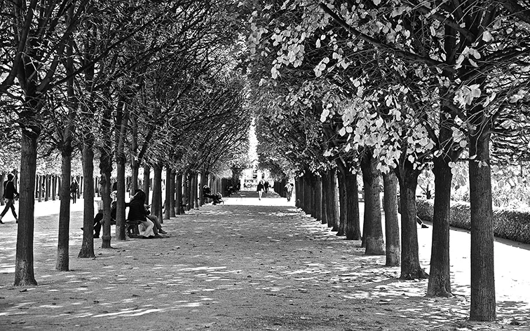 Filari simmetrici di alberi lungo un viale di parco con persone sedute sulle panchine, in bianco e nero