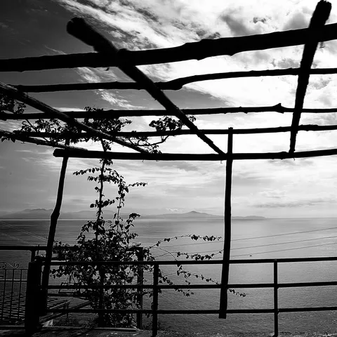 Pergolato in legno stagliato contro il cielo, con una vite e il mare e la costa lontana sullo sfondo, in bianco e nero