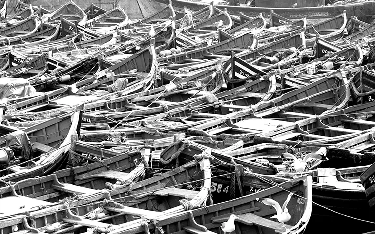 Numerose barche da pesca in legno stipate una accanto all'altra in un porto, in bianco e nero