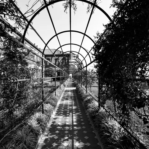 Pergola metallica ad arco di un giardino, con piante rampicanti e un vialetto piastrellato che si allontana, in bianco e nero