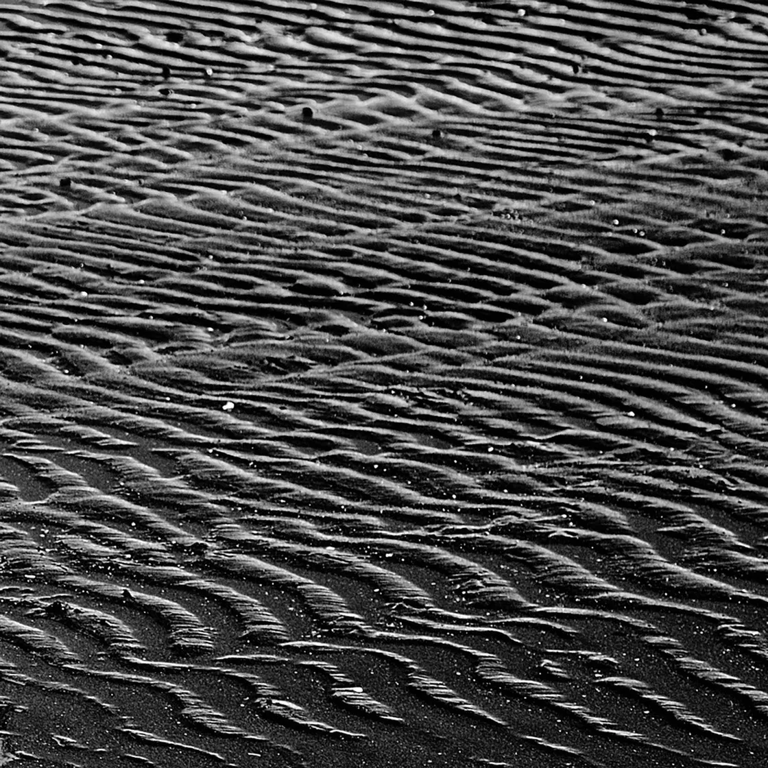 Sabbia bagnata con minute increspature parallele in primo piano, in bianco e nero