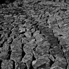 Terra arida e screpolata con profonde crepe che si allontanano in profondità in primo piano, in bianco e nero