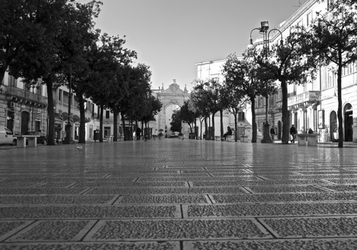 IMG_4667.jpg