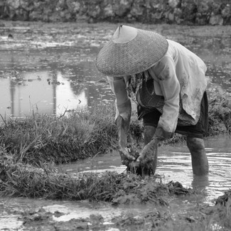 1-BALI.jpg