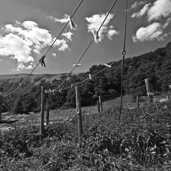 4.ARIA-ABRUZZO BOSCO DI SANT